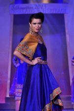 on the ramp for BD Somani show on 3rd May 2015